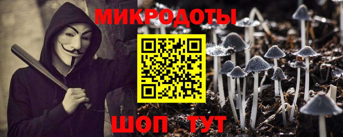 Грозный  Галлюциногенные грибы Psilocybine cubensis  Вход с VPN 